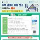 꼭이야 이미지