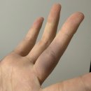 사랑&동행음악회 | 피아니스트 선우예권 2025 가을 공연 1열에서 두 번 관람 후기 🖤