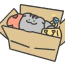 봄디아(Bom dia)