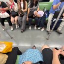 명주할인마트 | 상하이 야경 동방명주 스냅사진 기사님 정보 O 예약 안함