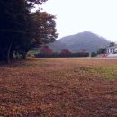 보성공연예술촌연바람 Daum카페