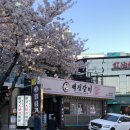 좌동로 | [부산|해운대]백정갈비, 해운대 좌동 주민이 인정한 돼지갈비 찐 맛집 솔직 후기