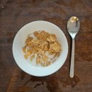 (주)서진소프트 | 호주에서 살아남기 19일차