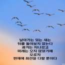 가온길 이미지