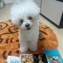 (주)영신에프앤씨 이미지