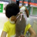 밍키패션 이미지