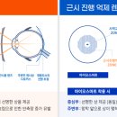 더 존 안경 이미지