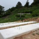 태성 태양광발전소 이미지