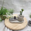 친환경 식물로 소품만들기 이미지