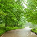 위커넥트 이미지