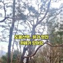 산과산사이커피로드 이미지