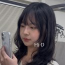 하이디솔루션 | 하이레이어드펌 비포 에프터 하이디헤어 잠실점 휘도원장 C컬스타일