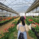 팜팜스토어 | 부산 경남 아이랑 갈만한 곳 꽃체험 플라워팜팜