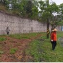 청양 3리 이미지