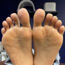 자연의 움직임 이미지