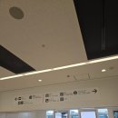 카비지트 | 8월 일본 소도시 이바라키 여행 Ep 3. 이바라키 공항 렌터카 후기｜C1 야리스 카시트 & 비용 & 팁
