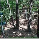 동백호수공원 이미지