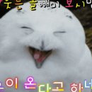 (주)정성담 이미지