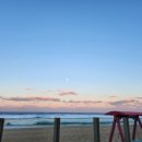 삼척해수욕장 이미지