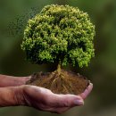 친환경실천을 위한기후위기 바로알기 | 기후월령가’로 보는 2025년의 이상기후 현상 : 우리 삶은 어떻게 변하고 있는가