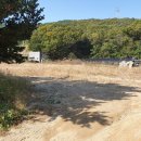 초부4리 이미지