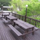 그린민박 이미지