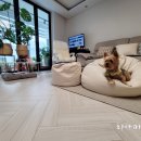 성미세탁 이미지