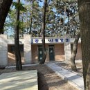 춘장대 중앙솔밭캠핑