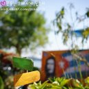 목섬칼국수 이미지