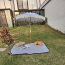 로즈브리즈 이미지