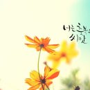 샬롬 - 제주시 신광로 27 | 샬롬