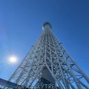 당신있어좋은세상 | 도쿄 스카이트리 현장 전망대 입장권 티켓 예약 레스토랑 도쿄 여행 후기