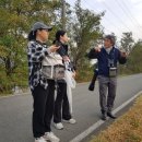 자원 오리성 이미지