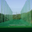 엘리시안 강촌 골프연습장 이미지