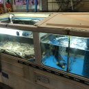 영광게임랜드 | 부산 서면 <자갈치숯불산꼼장어> - 서면쥬디스신관 옆 서면꼼장어맛집!