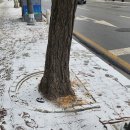 [서울당일치기여행]시골쥐들의 패기 넘치는 하루