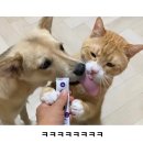 더 노래연습장 | 직장인 11월 마무리 일기 💼