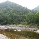 법수치통나무산장 이미지