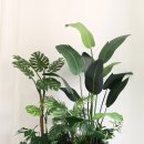 북구종합체육관 이미지