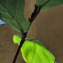 카페 소하(CAFE soha) 이미지