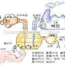 리메디얼휘트니스 이미지