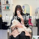 [서울/동대문구] 답십리미용실 김한솔헤어아뜰리에, 톤다운 염색 후기