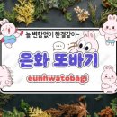 은화또바기