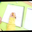 중앙기독초 이미지