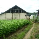 고향방앗간 이미지