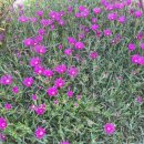 정각산 벨리 이미지