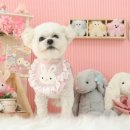 늘, 바라봄 이미지