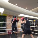 킹콩복싱아카데미 이미지