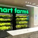 주식회사 약팜 이미지