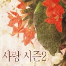 서연어패럴 이미지